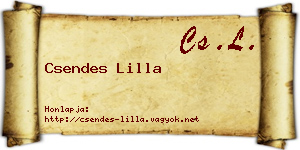 Csendes Lilla névjegykártya